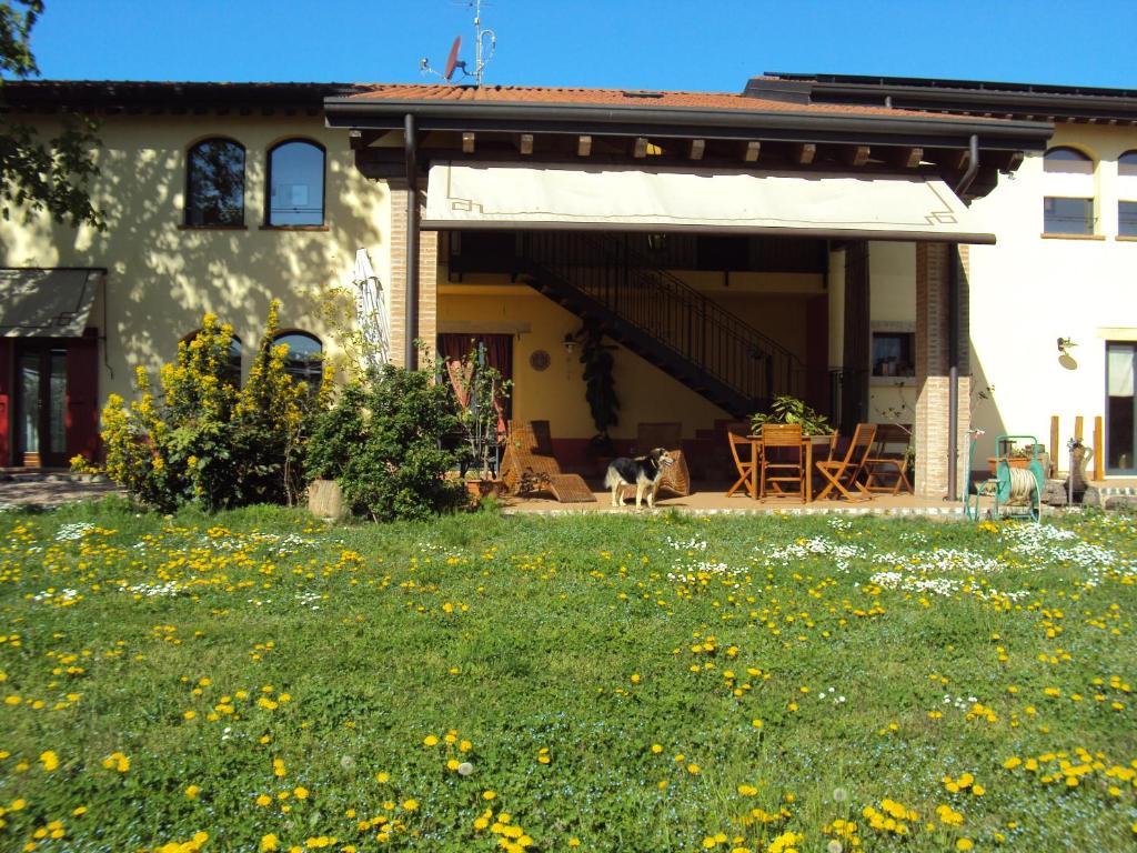 Agriturismo Ca' Del Ferro Zevio Экстерьер фото