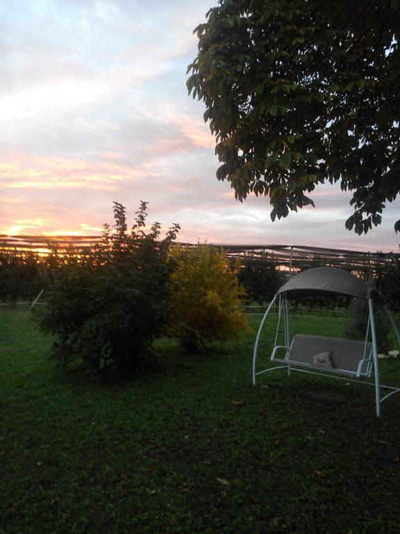 Agriturismo Ca' Del Ferro Zevio Экстерьер фото